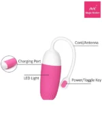 Telefon Kontrollü Vini Vibratör