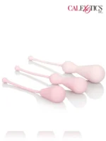 Kegel Seti