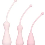 Kegel Seti